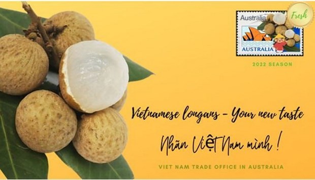 Vietnamese longan sold in Australian market