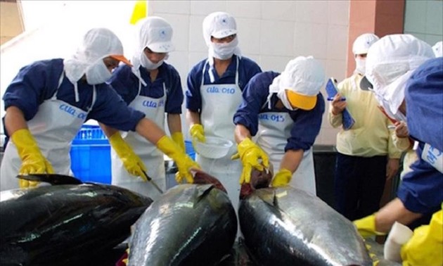 Vietnamese tuna products available in 97 countries and territories