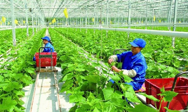Vietnam strives to achieve net zero emissions from agriculture by 2050