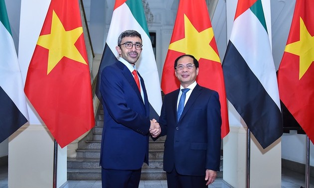 Vietnamese and UAE FMs hold talks  