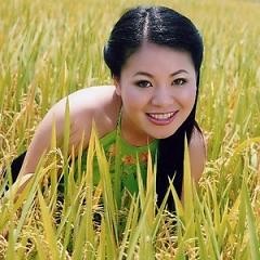 越南红歌女歌手英诗