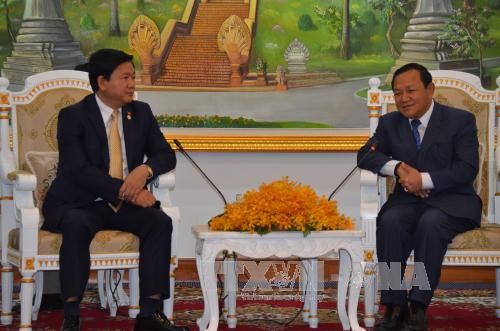 柬埔寨国会和政府领导人会见胡志明市市委书记丁罗升