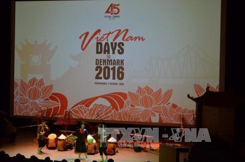 越南-丹麦建交45周年纪念仪式在胡市举行