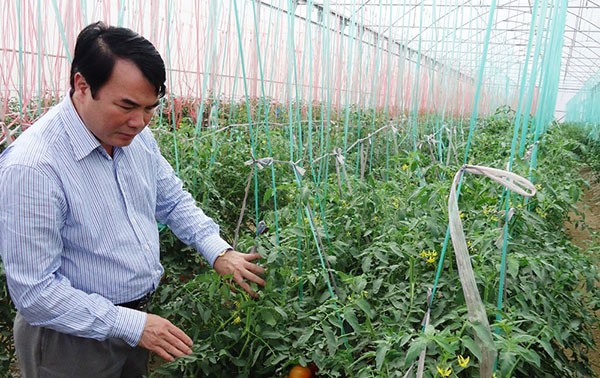 日本帮助林同省成为东南亚高价值农业中心 