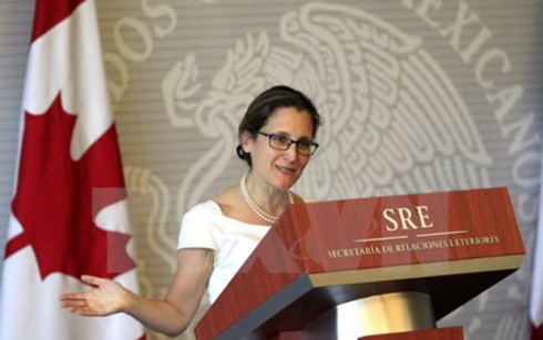 将越南和加拿大合作关系提升至新水平  