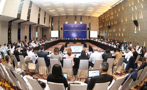 2017年APEC会议坚定茂物目标与越南的对接作用