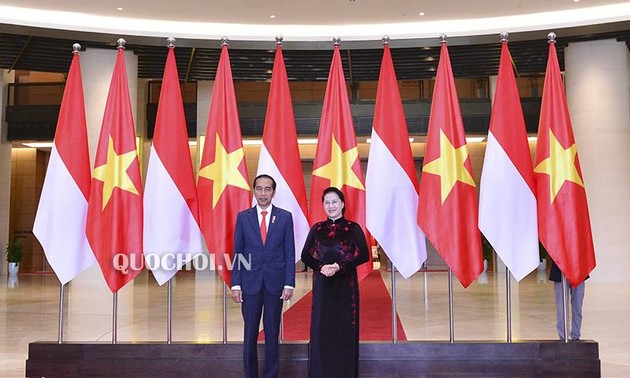 越南国会主席阮氏金银会见印度尼西亚总统佐科