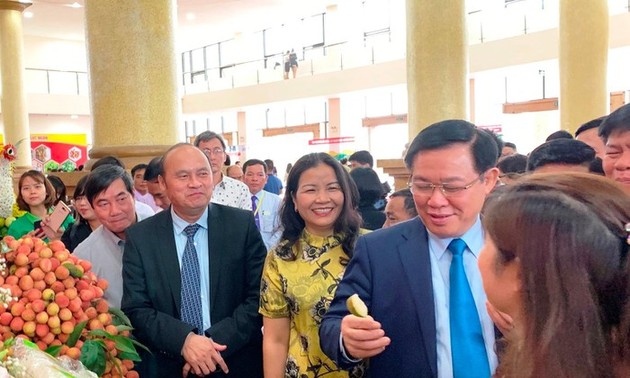 越南政府副总理王庭惠出席北江省荔枝产销论坛