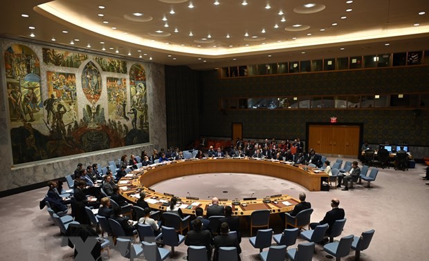 越南主持联合国安理会十个非常任理事国同联合国秘书长的视频会议