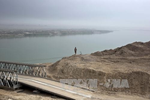 Ирак: Войска коалиции уничтожили мост для поставки бойцов ИГИЛ в Мосуле