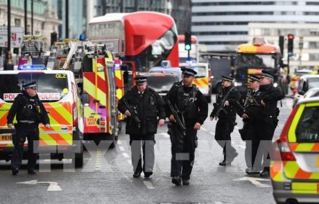Теракт у здания британского парламента: задержанные в ходе расследования подозреваются в теракте