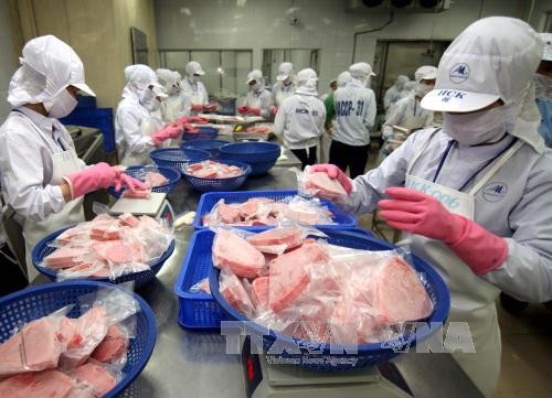 Выделено более 100 млрд донгов для повышения конкурентоспособности рыбной промышленности Вьетнама