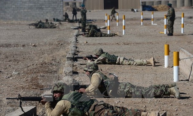 Беспилотники НАТО уничтожили 18 боевиков ИГИЛ в Афганистане