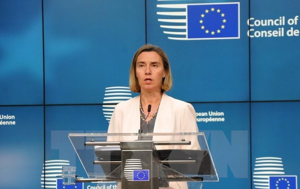 ЕС выражает соболезнования в связи с ущербом, нанесенным тайфуном Дамри во Вьетнаме 