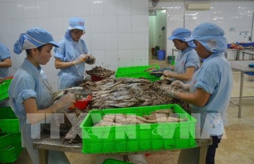 Вьетнамские морепродукты подтверждают свою сильную позицию на рынке Европы