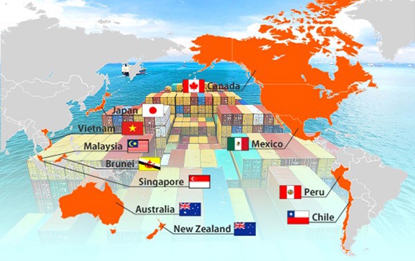 Новая Зеландия и Вьетнам обмениваются информацией в подготовке к ВПТТП