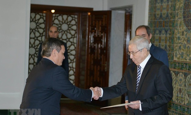 Президент Алжира желает развивать отношения с Вьетнамом