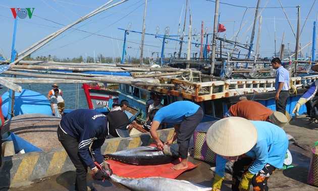 Вьетнам внедряет научно-технические достижения в устойчивую добычу морепродуктов