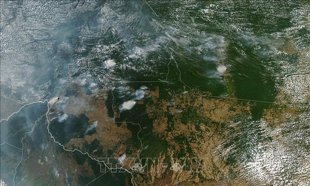 Генсек ООН выразил обеспокоенность в связи с пожарами в экваториальных лесах Амазонии