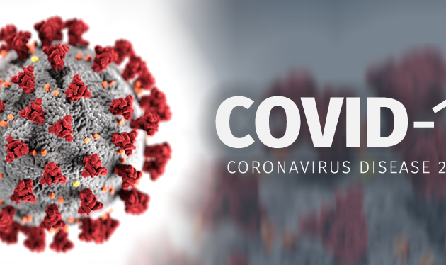 ВОЗ склоняется к версии животного происхождения коронавируса