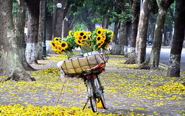 Образ ханойской осени во вьетнамских песнях