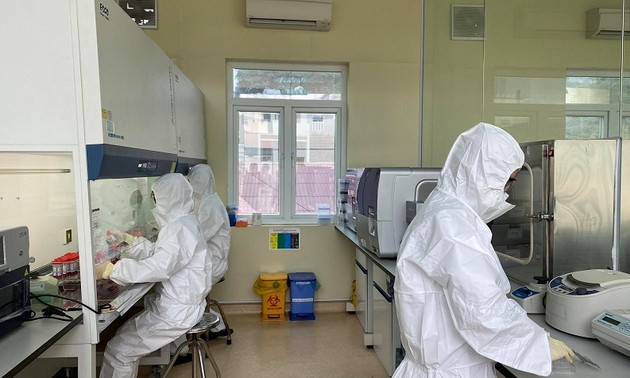 Был выявлен новый британский штамм SARS-CoV-2 у пациентов в провинциях Хайзыонг и Куангнинь