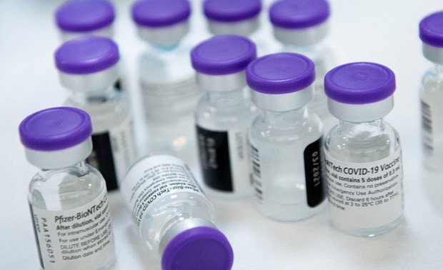 ЕС согласовал план распределения вакцин от COVID-19