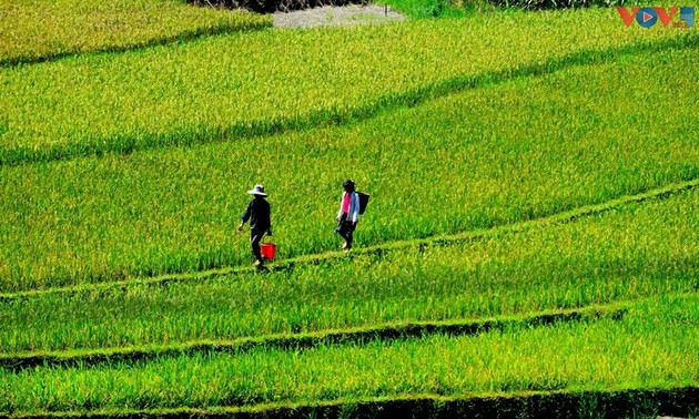 Сапа и Хойан - самые фотогеничные места Вьетнама