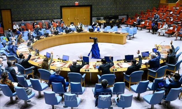 Вьетнам призывает конфликтующие стороны в Сомали урегулировать разногласия ради национальных интересов