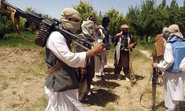 Боевики «Талибан» в Пакистане объявили о прекращении огня