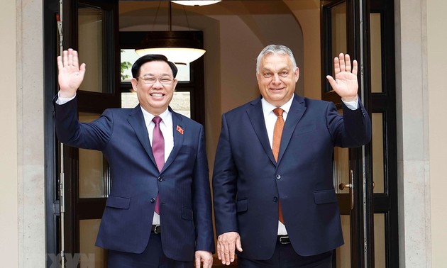 Углубление отношений всеобъемлющего партнерства между Вьетнамом и Венгрией 