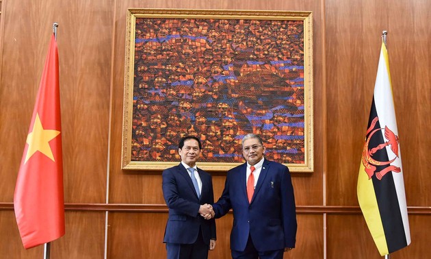 Дальнейшее продвижение отношений всестороннего партнерства между Вьетнамом и Брунеем 