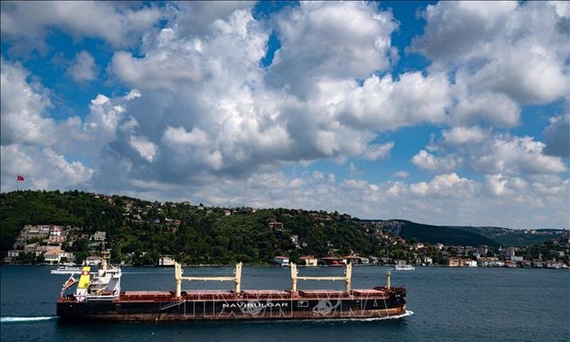 ООН оптимистично оценивает возможность продления соглашения об экспорте зерна через Черное море 