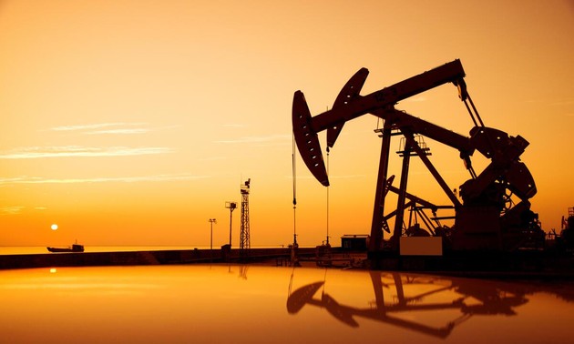 МЭА предупредило о высокой волатильности нефтяных цен