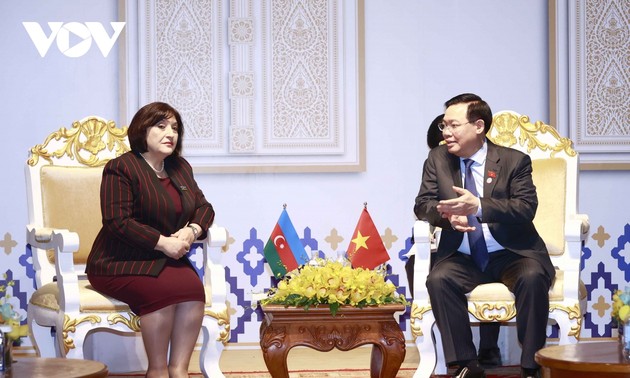 Председатель Нацсобрания Выонг Динь Хюэ встретился с руководителями парламентов некоторых стран