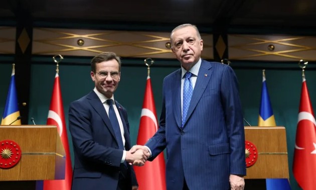 Швеция планирует возобновить переговоры с Турцией по НАТО