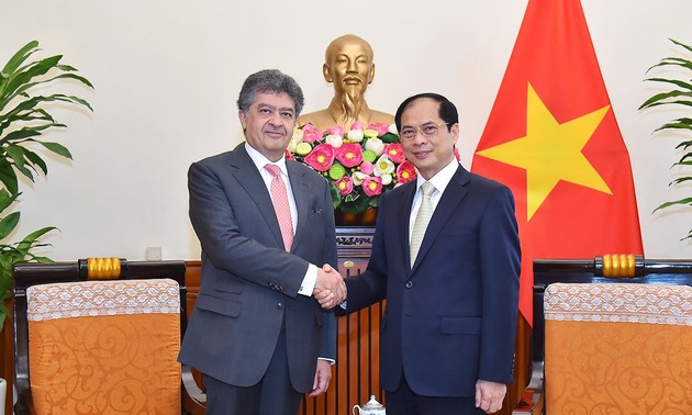 Вьетнам желает развивать многостороннее сотрудничество с Арменией 