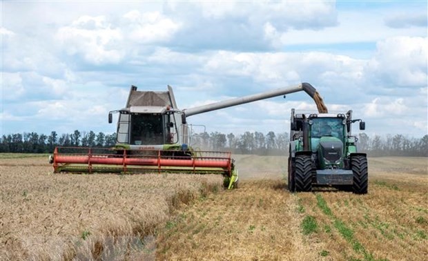 Россия и ООН назначили время консультаций по экспорту сельскохозяйственной продукции