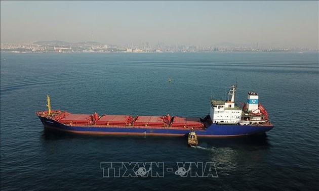 Более 30 млн тонн товаров экспортируются в рамках Черноморской зерновой инициативы 