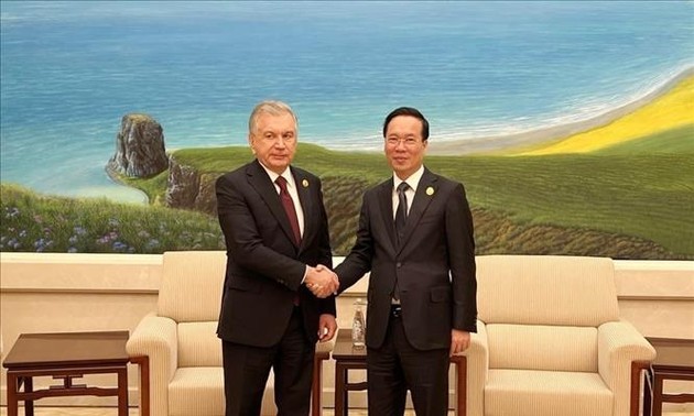 Президент Во Ван Тхыонг провел встречу с президентом Узбекистана