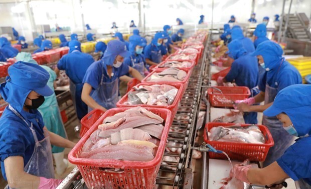 Объем экспорта морепродуктов Вьетнама в 2023 году может превысить 9 млрд долларов США 