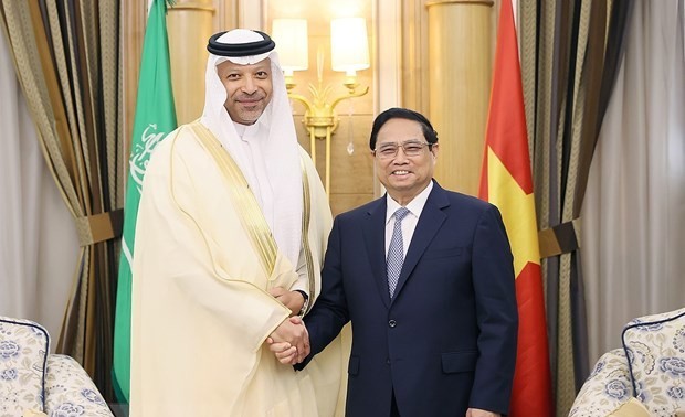 Премьер-министр Фам Минь Тинь принял руководителей крупных корпораций и инвестиционных фондов Саудовской Аравии