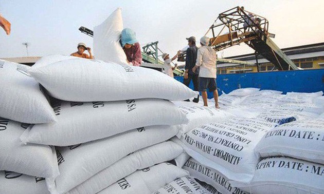 Экспорт вьетнамского риса достиг самого высокого уровня за всю историю 