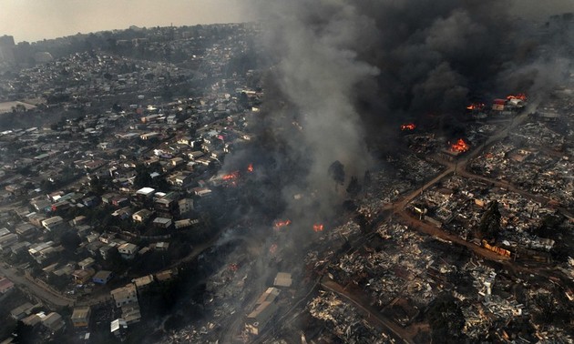 В Чили объявлен национальный траур в память о жертвах лесного пожара 
