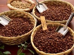 Vietnam needs to have common coffee contract template