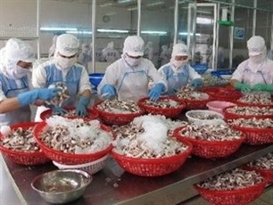 Vietnam’s agro-forestry-seafood exports top  20 billion USD
