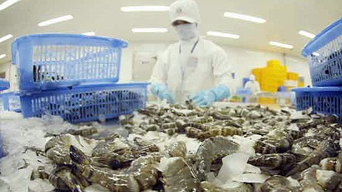 US announces no Vietnam shrimp dumping