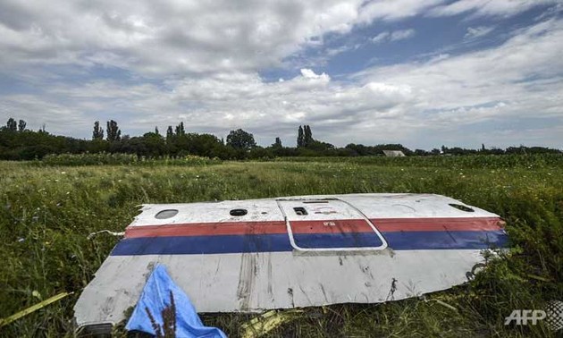 MH17 probe finds 'probable' BUK missile pieces at crash site