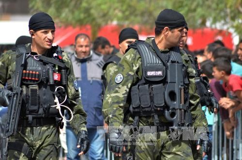 Tunisia crushes terrorist plot