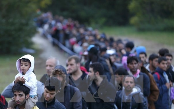 Migrant issue: Belgium to receive the first 20 Syrian refugees from Greece
